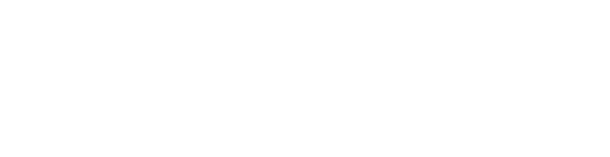 Shinhan Finance logo
